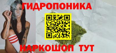 ГАЛЛЮЦИНОГЕННЫЕ ГРИБЫ Гусиноозёрск